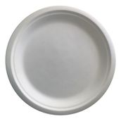 Ekolojik Bagasse Tabak 22 cm 50 Adet