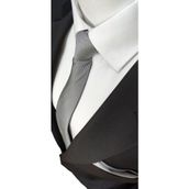 Elegante Cravatte Gümüş Gri Armürlü Oxford Desen Kravat Mikro Dokuma Kumaş ile Şık Tasarım