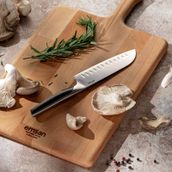Emsan Pro Knife 2.0 mm Santoku