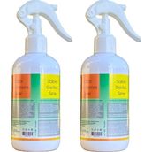 Enderma Ortam Dezenfektanı 2 Adet - 250 ML