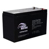 Energy Mustang 12 Volt 7 Amper Akü