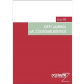 Enerji Alanında Mali Düzenlemelerin Rolü - Cansu Dağ