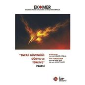 Enerji Güvenliği Dünya ve Türkiye Paneli 2010 - kollektif