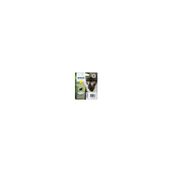 Epson C13T08944020 Kartuş