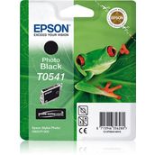 Epson T0541 Siyah Kartuş