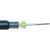 Erat 12 CORE SM SLT FO D 652 D 1 m Zırhlı Kablo