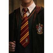 Erkek Kırmızı Harry Potter Gryffindor Desenli Kravat