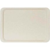 Erkoplas ERKO0107 Polyester 37x53 cm Anti Bakteriyel Bej Servis Tepsisi