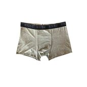 Eros Gri Erkek Boxer