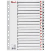 Esselte A4 1-31 Rakam Dosya Ayracı