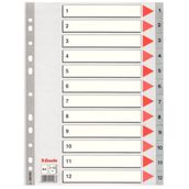 Esselte SLT-100106 1-12 Rakamlı Seperatör