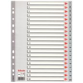 Esselte SLT-100107 1-20 Rakamlı Seperatör