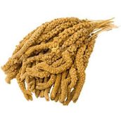 Eurogold 1000 gr Sarı Dal Darı
