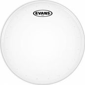 Evans B14DRY 14 inç Kumlu Trampet Derisi