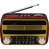 Everton RT 310 Radyo