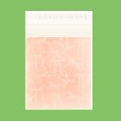 Evidea | 4Nio Fiyonk Desenli Küçük Boy Hediye Poşeti - Pembe - 24x35 cm