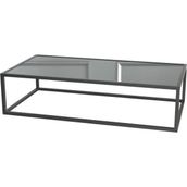 Evka Potrica Metal Siyah Ayak Ayna Tabla Orta Sehpa