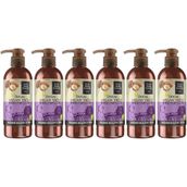 Eyüp Sabri Tuncer 250 ml x 6 Adet Doğal Argan Yağlı El ve Vücut Losyonu