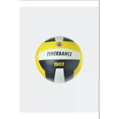 Fenerbahçe Voleybol Topu