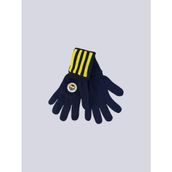 Fenerium TA072CGK01407 Fenerbahçe Sarı Lacivert Çubuklu Çocuk Eldiven