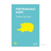 FIRTINADAKI KIRPI - STEPHEN JAY GOULD