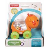 Fisher Price CMV97 Kaplan Poppity Araçlar