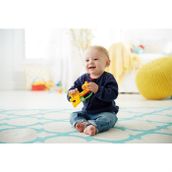 Fisher Price MATCGR92 Çıngırak Zürafa