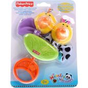 Fisher Price Renkli Çıngıraklar Ördek