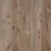 Floorpan Gold Çam Laminat Parke