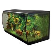 Fluval Flex 123 lt Siyah Akvaryum
