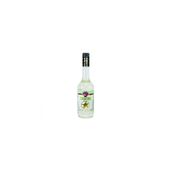 Fo 700 ml Bahçe Nanesi Aromalı Kokteyl Şurup