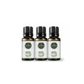 Gardone 10 ml Okaliptüs Uçucu Yağı Buhurdanlık Ortam Kokusu (3 adet)