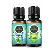 Gardone 2x10 ml Hazan Esintisi Ortam Koku Seti