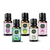 Gardone 5x10 ml Dağ Esintisi Ortam Koku Seti