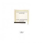 GENÇ WERTHERIN ACILARI - JOHANN WOLFGANG VON GOETHE