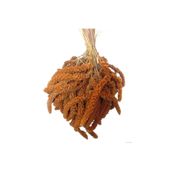 Genel Kızıl Dal Darı Yerli Üretim Yeni Mahsul Kuş Yemi 250 gr