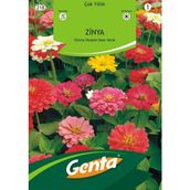 Genta Prestige Kirli Hanım Çiçeği Tohumu