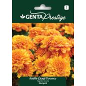 Genta Prestige Turuncu Kadife Çiçeği Tohumu