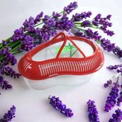 Girist Pet Kırmızı Kapaklı ve Taşınabilir Kaplumbağa Bahçesi