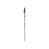 Gitzo GM2541 Monopod