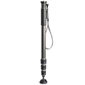 Gitzo GM2542 Monopod