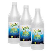 Glint Marine 1 Litre Bitkisel Kimyasalsız Tekne Yüzey Temizleyici Kokusuz Sprey (3 paketi)