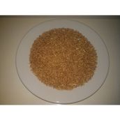 Gold Mind Kuş Yemi 5kg Buğday