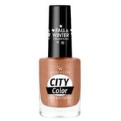 Golden Rose City Color Fall&Winter Collection No:309 Oje