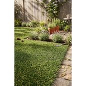 Grass Dekoratif Balkon Bahçe İç Dış Mekan Sarı Otlu Yeşil Sarı Yapay 100x200 cm Çim Halı
