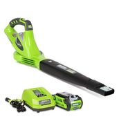 GreenWorks 40 V Bataryasız Akülü Üfleme Toplama Makinesi