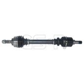 GSP 210250 Aks