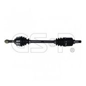 GSP 210311 Aks