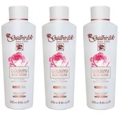 Gülbirlik 3x250 ml Gülsuyu