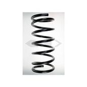 Günsan 060010 P306 Ön Helezon Yayı